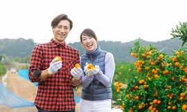 3 loại trái cây Nhật Bản 'đổ bộ' Việt Nam không thể bỏ lỡ