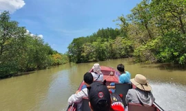 Lữ hành Saigontourist tiếp tục tổ chức tour đường sông Cần Giờ cho khách cá nhân, gia đình