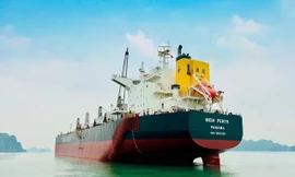 Xi Măng Xuân Thành bứt phá mạnh mẽ, chinh phục thị trường thế giới