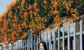 Huyền Mỹ shop - Thương hiệu lan tỏa phong cách thời trang hiện đại