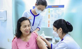 Vaccine sốt xuất huyết đã có ở Việt Nam