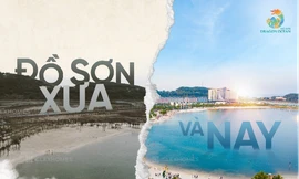 Dragon Ocean Đồ Sơn - Tâm điểm kinh doanh mới phía Đông Nam Hải Phòng