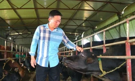 Quỹ khuyến nông là 'bệ phóng' của nông dân và cơ giới hoá nông nghiệp