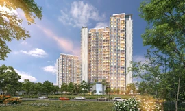 Rio Land giới thiệu những căn hộ đẹp nhất dự án Precia