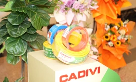 Doanh nghiệp ‘gà đẻ trứng’ của GELEX phát triển mạnh sản phẩm xanh