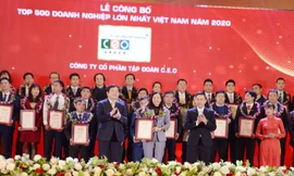 Phó Tổng Giám đốc Phan Lê Mỹ Hạnh đại diện Tập đoàn CEO nhận Chứng nhận Top 500 Doanh nghiệp lớn nhất Việt Nam2020