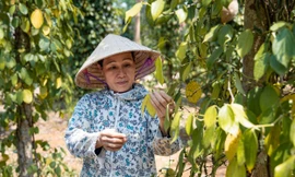 Tin vui nước sạch về với bà con Quảng Trị