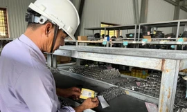 Nhiệt điện Quảng Ninh: Ứng dụng chuyển đổi số trong công tác quản lý vật tư