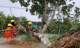 EVNCPC khắc phục hậu quả thiên tai: 4 tại chỗ + 5K + vắc xin 