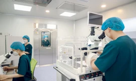 'Phép màu' giữa đời thường