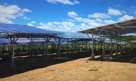 Điện mặt trời mái nhà phát triển mạnh tại Đăk Nông