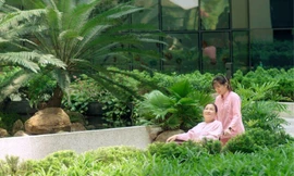 Không phải của cải hay tiền bạc, đây mới là khởi nguồn thực sự của hạnh phúc