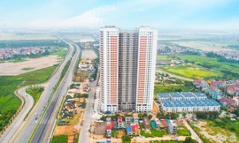 Shark Phạm Thanh Hưng: 'Bất động sản Việt Nam sắp chạm giai đoạn vàng'