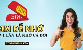 Sim số đẹp là gì? Các tiêu chí để đánh giá một số sim đẹp