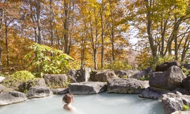 Ngày càng nhiều du khách yêu thích văn hóa Nhật Bản