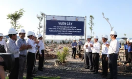 Trồng trên 18.000 cây xanh tại Công ty Nhiệt điện Vĩnh Tân 