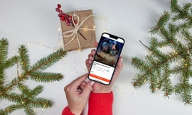 Gợi ý các hoạt động đón Giáng Sinh cho người độc thân hướng nội