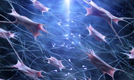 Collagen Tripeptide – Trẻ hóa da từ cấp độ tế bào