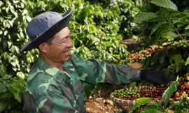 Nestlé công bố kế hoạch NESCAFÉ Plan 2030