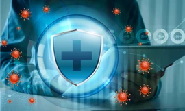 Món quà sức khỏe từ 3 loại tảo nâu giúp tăng cường hệ miễn dịch 