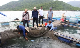 Trường ĐH Nha Trang đi sâu nghiên cứu, hợp tác quốc tế trong lĩnh vực thủy sản và khoa học biển