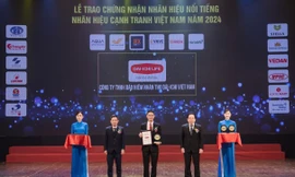 Dai-ichi Life Việt Nam lần thứ 5 được vinh danh 'Top 10 Nhãn hiệu nổi tiếng Việt Nam 2024'