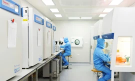 Việt Nam tăng cường quản lý, kiểm soát chất lượng nghiên cứu, ứng dụng tế bào và sản phẩm từ tế bào trong Y học 