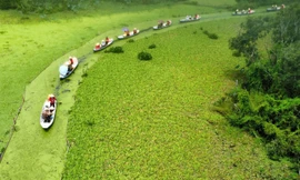 Có một Trà Sư thật lạ trong mắt ai