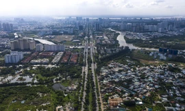 C.T Land lỗ khủng bao nhiêu?