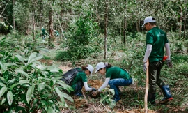 Nestlé được ghi nhận về nỗ lực bảo vệ rừng, góp phần giảm tác động từ biến đổi khí hậu