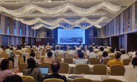 Nâng cao năng lực cho Ban ATGT tỉnh, thành phố trực thuộc Trung ương năm 2024