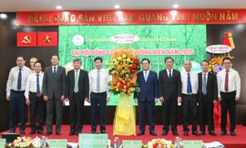 Tập đoàn Công nghiệp Cao su Việt Nam chia cổ tức 1.600 tỷ đồng 