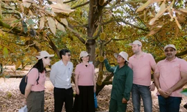 Cung cấp giải pháp canh tác bền vững, nâng cao vai trò phụ nữ