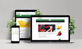 Lợi ích của website đối với hoạt động kinh doanh online