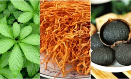 Lipotan - công thức vượt trội hỗ trợ cải thiện và ngăn ngừa biến chứng mỡ máu