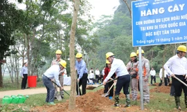 Tổng công ty Điện lực miền Bắc hưởng ứng Lễ trồng cây 