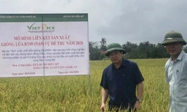 Tăng thể chế để ngân hàng tiếp sức doanh nghiệp, nông dân xuất khẩu nông thủy sản sang EU