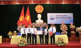 Hòa Bình quyết tâm làm bóng đá chuyên nghiệp bài bản từ gốc