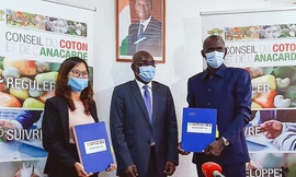 Đại diện Tập đoàn T&T Group và đại diện Liên minh các nhà xuất khẩu điều Bờ Biển Ngà ký kết hợp đồng thu mua 150.000 tấn điều thô dưới sự chứng kiến của Hội đồng Bông và Điều Bờ Biển Ngà. 