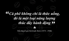 Cà phê Việt Nam đang ở đâu trên tầm nhìn 20 tỷ USD