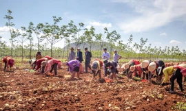 Pepsico Foundation hỗ trợ dự án "She Feeds The World” tới 160.000 nông dân