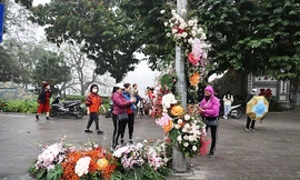 Hơn 100 Cột đèn 'nở hoa' giữa trung tâm Hà Nội