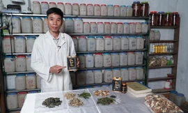 Sự kết hợp tinh túy giữa y học cổ truyền và y học hiện đại trong điều trị sỏi thận