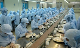 Yến sào Khánh Hòa nâng tầm vị thế, uy tín quốc tế