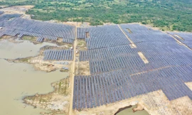 T&T Group đồng loạt hòa lưới 3 nhà máy điện mặt trời