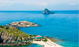 Đừng để mất tiền mua yến sào kém chất lượng 