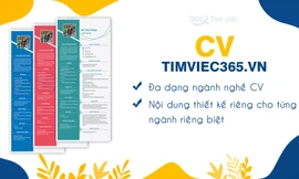 CV timviec365.vn - hành trang quan trọng cho mọi sự nghiệp thành công