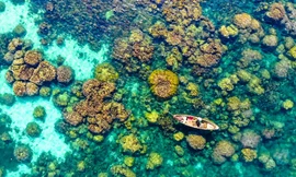 Mùa du lịch Tết Nhâm Dần – Phú Quốc 'bội thu'