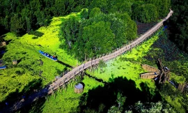 Cầu tre Trà Sư sử dụng trên 500.000 cây tre làm vật liệu để xây dựng