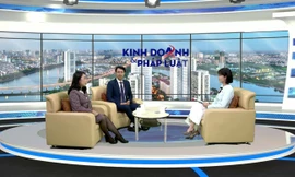 Những lưu ý cần thiết về bồi thường thiệt hại ngoài hợp đồng